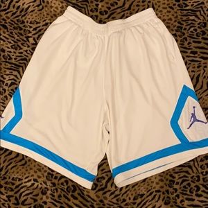 Jordan Dri-fit Shorts